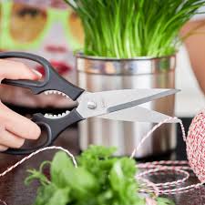 Mastering Your Kitchen with Small Kitchen Shears: Precision, Power, and Unrivaled Convenience